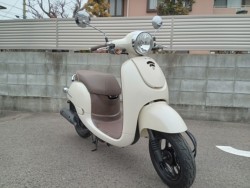 �z���_�W�����m�i�����������s�j�摜8