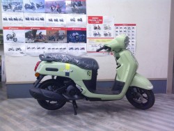 ���}�nFazzio�i���m�����m�s�j�摜1