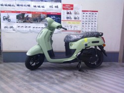 ���}�nFazzio�i���m�����m�s�j�摜2