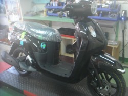 ���}�nFazzio�i���m�����m�s�j�摜1