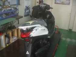 ���}�n�A�N�V�XZ�i���m�����m�s�j�摜2