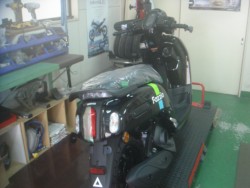 ���}�nFazzio�i���m�����m�s�j�摜2