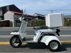 �z���_�W���C��X�i���m�����m�s�j�摜2