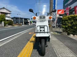 �z���_�W���C��X�i���m�����m�s�j�摜3