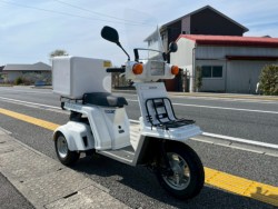 �z���_�W���C��X�i���m�����m�s�j�摜4