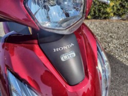 �z���_Dio110 Lite�i���m�����m�s�j�摜12