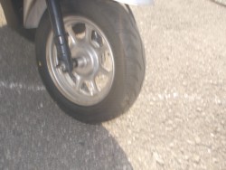 �z���_�^�N�g�E�x�[�V�b�N�i���m������s�j�摜8