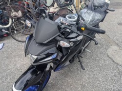 XYLGSX-S125 ABSimmsj摜4