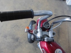 �z���_�����L�[�i���m�������S�l���\���j�摜14