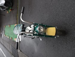 �z���_�����L�[�i���m���h�юs�j�摜4