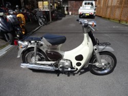 �z���_���g���J�u�i���m���h�юs�j�摜2