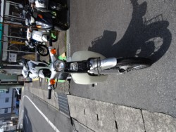 �z���_���g���J�u�i���m���h�юs�j�摜3