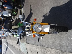 �z���_�����L�[�i���m���h�юs�j�摜3