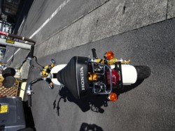 �z���_�����L�[�i���m���h�юs�j�摜4