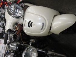 �z���_�W�����m�i���m�����m�s�j�摜1