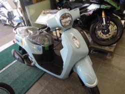 ���}�nFazzio�i���m�����m�s�j�摜1