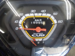 z_X[p[JuC50immsj摜2