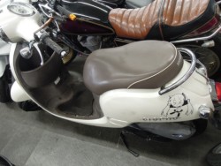 �z���_�W�����m�i���m�����m�s�j�摜2