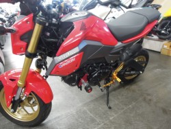 �z���_�O�����i���m�����m�s�j�摜2