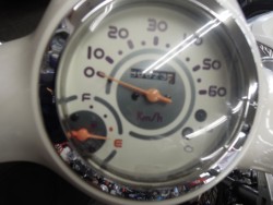 �z���_�W�����m�i���m�����m�s�j�摜3