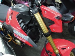 �z���_�O�����i���m�����m�s�j�摜5