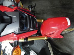 �z���_�O�����i���m�����m�s�j�摜7