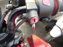 �z���_�O�����i���m�����m�s�j�摜10