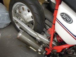 �z���_�G�C�v100�i���m�����m�s�j�摜4