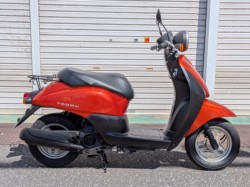 �z���_Today�i���m�����m�s�j�摜1