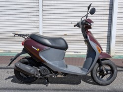 �X�Y�L���b�c4�i���m�����m�s�j�摜1