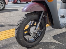 �X�Y�L���b�c4�i���m�����m�s�j�摜9