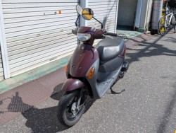 �X�Y�L���b�c4�i���m�����m�s�j�摜2