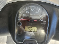 �z���_�^�N�g�E�x�[�V�b�N�i���m���y���s�j�摜5