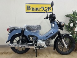 �z���_�N���X�J�u110�i���m�����m�s�j�摜1