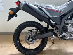 z_CRF250Limmsj摜5