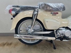 �z���_�X�[�p�[�J�u110�i���m�����m�s�j�摜5