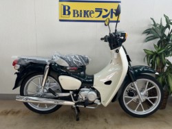 �z���_�X�[�p�[�J�u110�i���m�����m�s�j�摜1