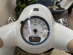 �z���_�W�����m�i���m�����m�s�j�摜3