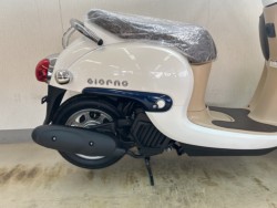 �z���_�W�����m�i���m�����m�s�j�摜5