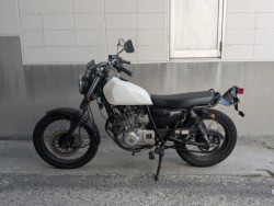 �X�Y�L�O���X�g���b�J�[�i���Q�����R�s�j�摜5