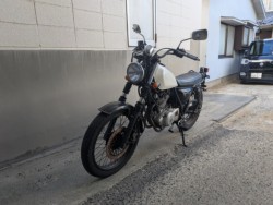 �X�Y�L�O���X�g���b�J�[�i���Q�����R�s�j�摜4