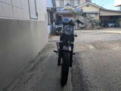 �X�Y�L�O���X�g���b�J�[�i���Q�����R�s�j�摜3