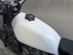 �X�Y�L�O���X�g���b�J�[�i���Q�����R�s�j�摜14