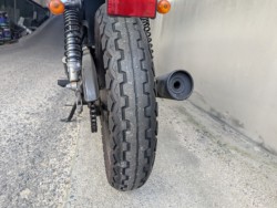 �X�Y�L�O���X�g���b�J�[�i���Q�����R�s�j�摜19