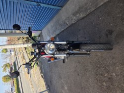 �X�Y�L�O���X�g���b�J�[�i���Q�����R�s�j�摜2