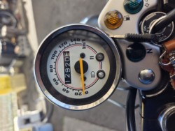 �X�Y�L�O���X�g���b�J�[�i���Q�����R�s�j�摜10