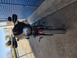 �n�[���[�n�[���[�_�r�b�h�\��FXBB�i���Q�����R�s�j�摜2