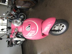 �z���_�W�����m�i���Q�����R�s�j�摜3