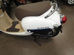 �z���_�W�����m�i���Q�����R�s�j�摜8