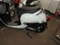 �z���_�W�����m�i���Q�����R�s�j�摜8